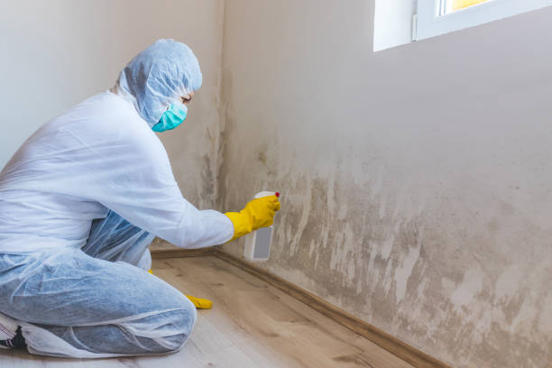 Hvac And Air Duct Mold Remediation inspection of HVAC system in Benson