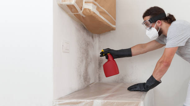 Attic Mold Remediation treatment on roof deck in Benson