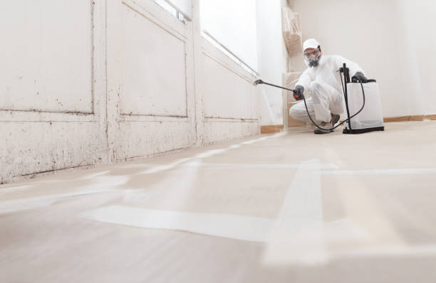 Post-remediation clearance in Benson